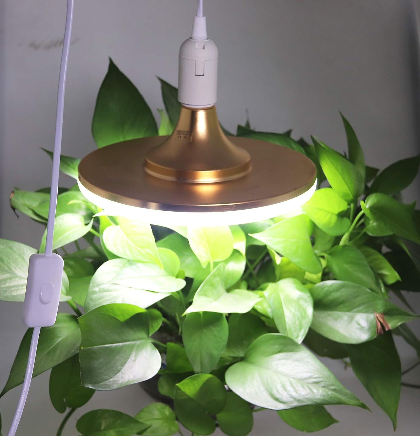 E26 Light Socket with Plug: 5.9FT Extension with Cord On/Off Switch - Image 8